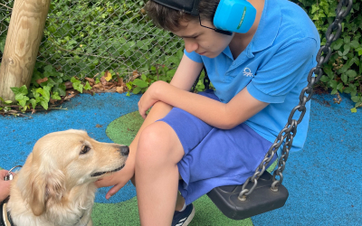 A young boy and a guide dog.