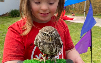 A little girl handling an owl.