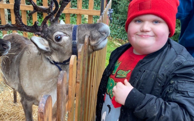 A little boy visiting Santa's reindeer.