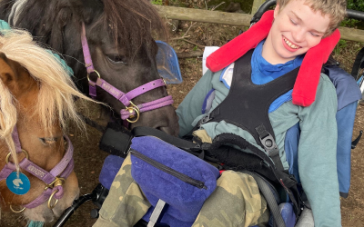 A teenage boy visiting some Shetland ponies.