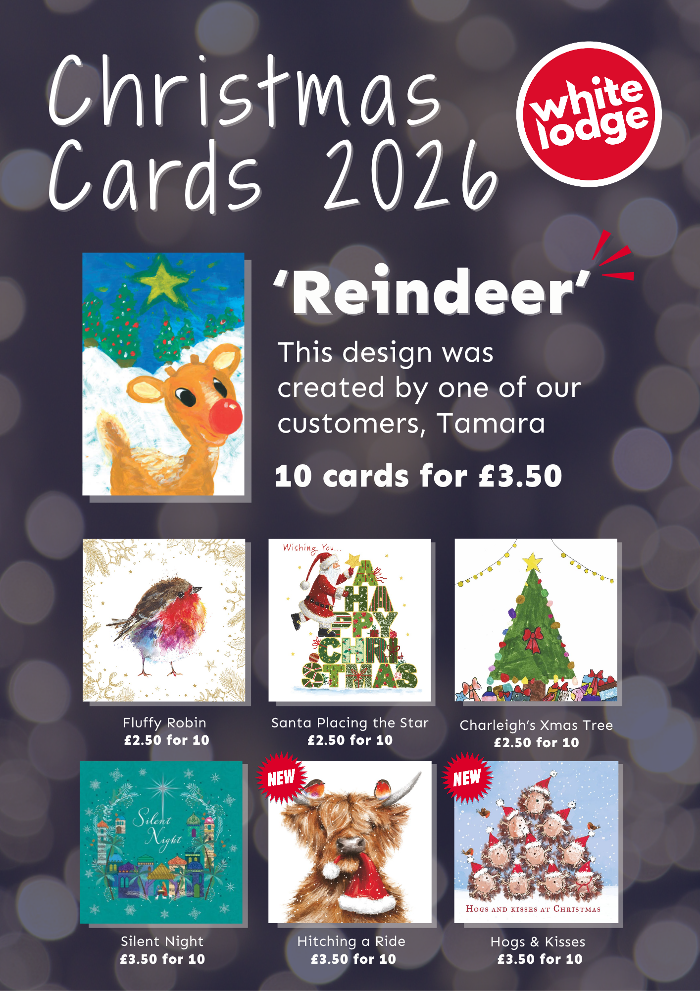 Xmas Standalone Flyers 2026.png